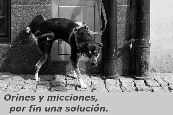 Un problema que por fin tiene solución.